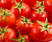 У вантажі турецьких томатів виявили шкідника